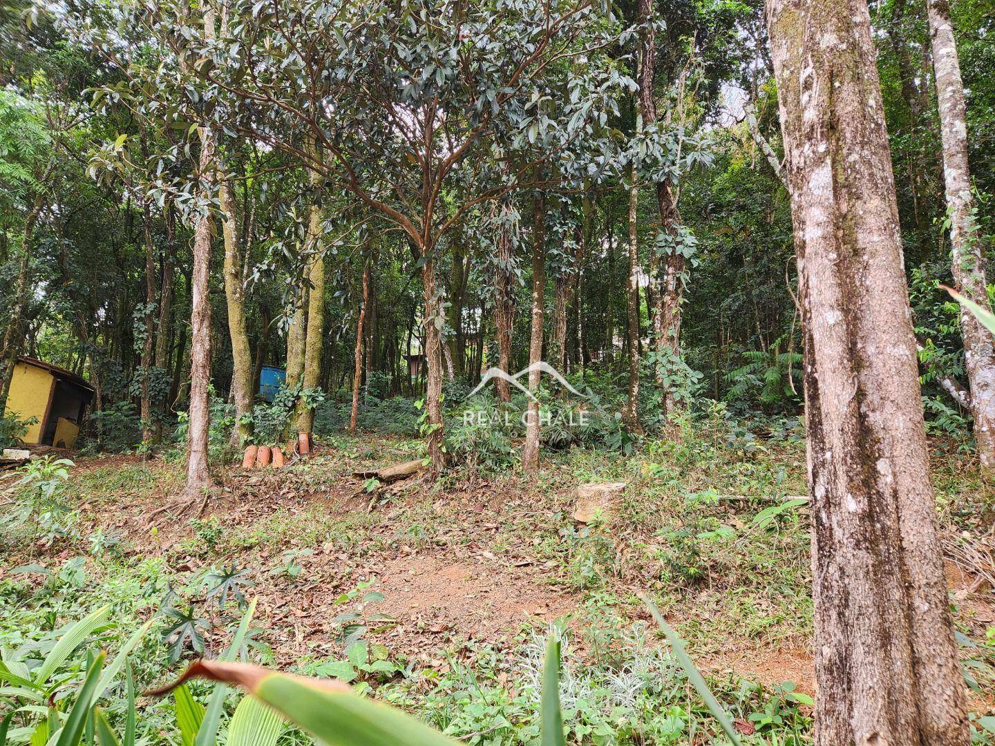 Casa de Condomínio à venda com 3 quartos, 200m² - Foto 16