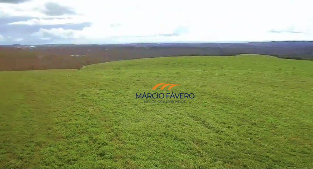 Fazenda-Sítio-Chácara, 980 hectares - Foto 6