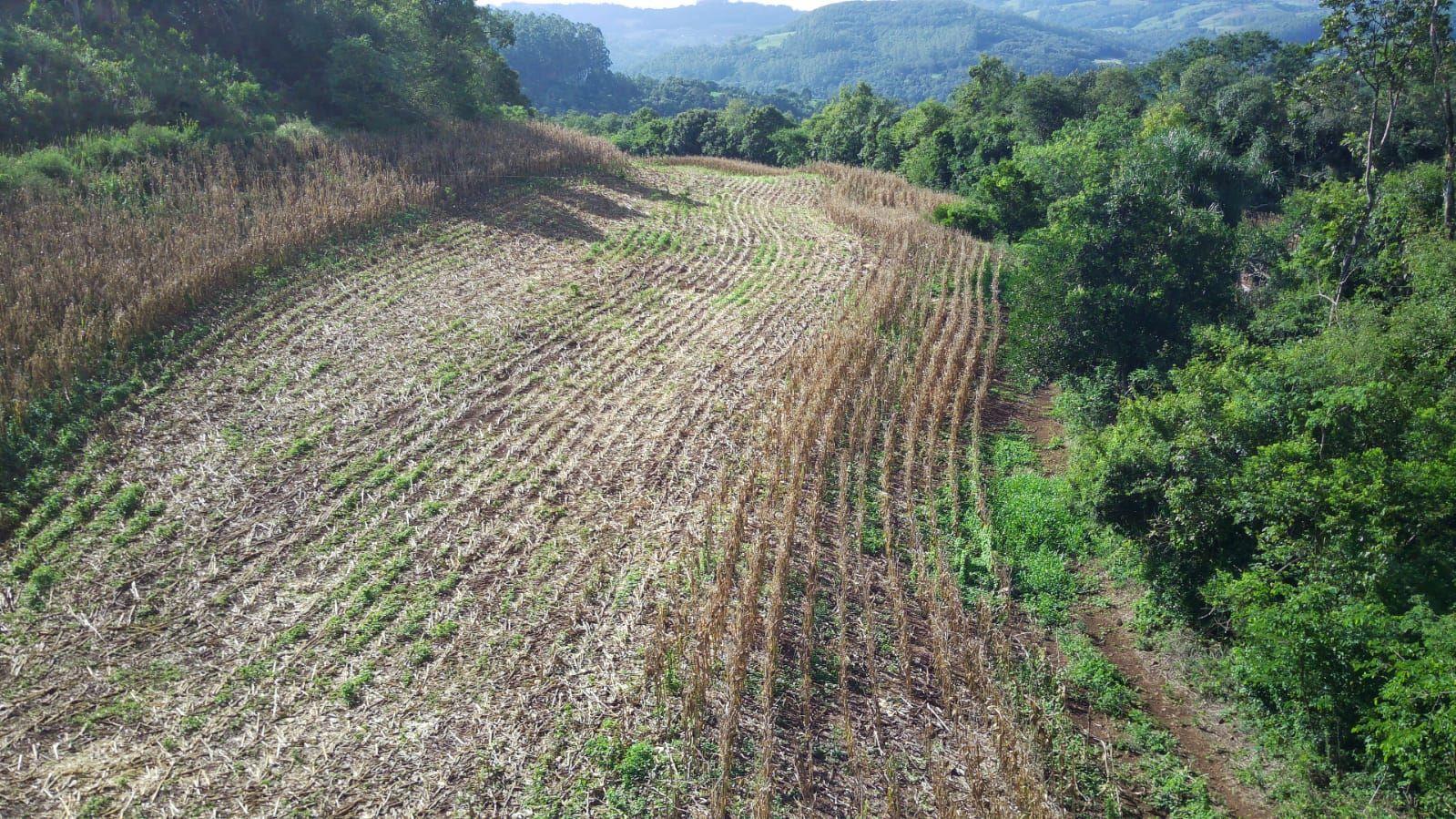 Loteamento e Condomínio à venda, 199000m² - Foto 19