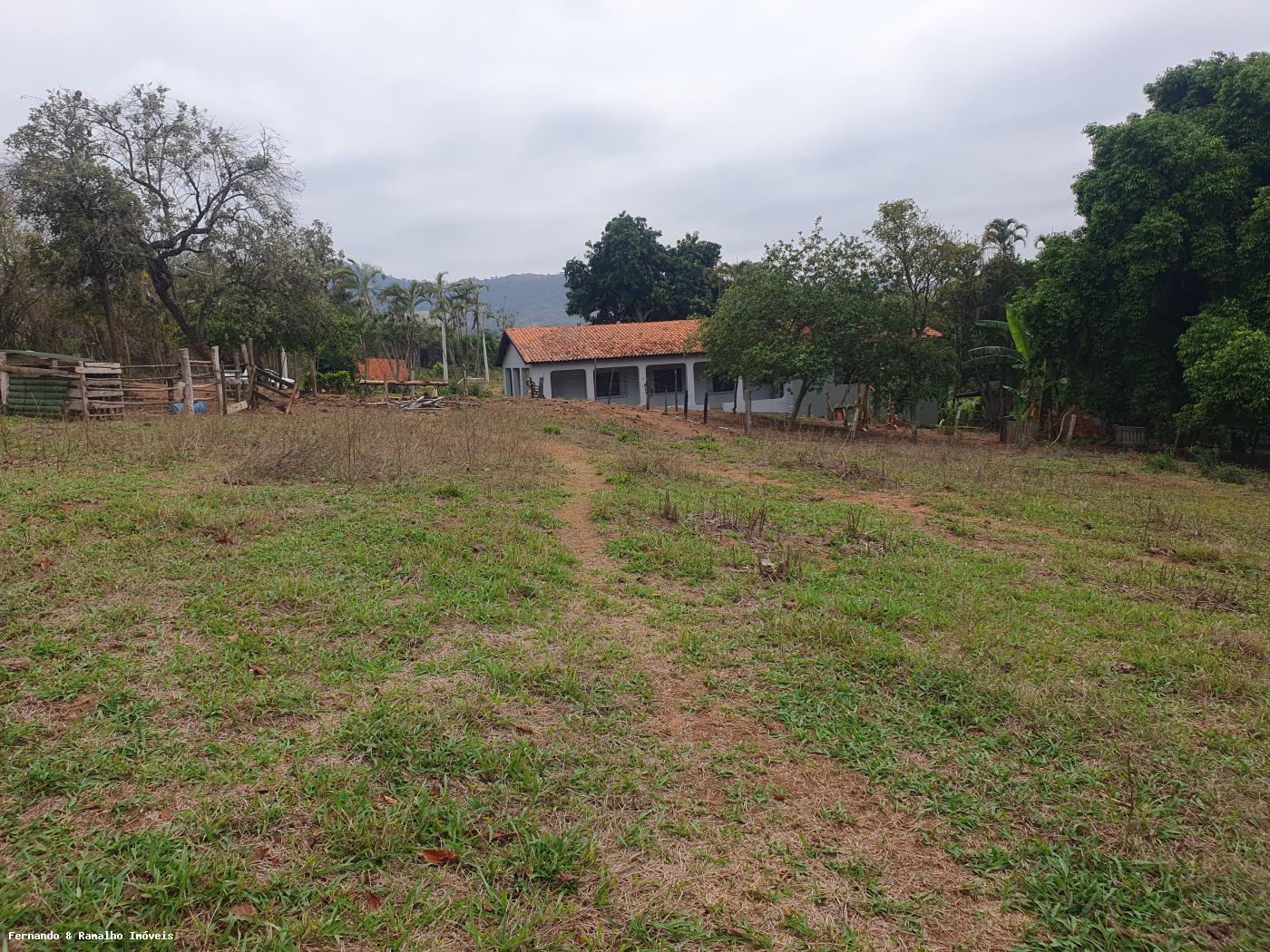 Fazenda à venda com 3 quartos, 80000m² - Foto 31