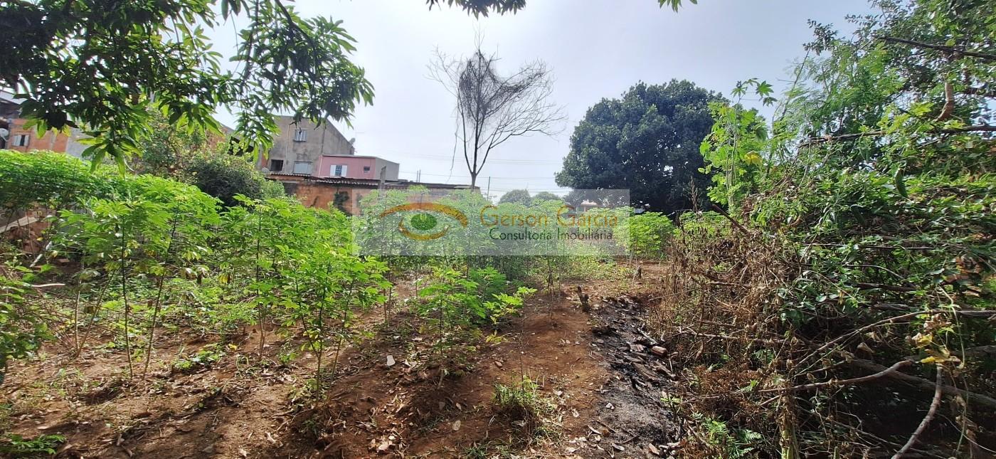 Terreno à venda, 250m² - Foto 4