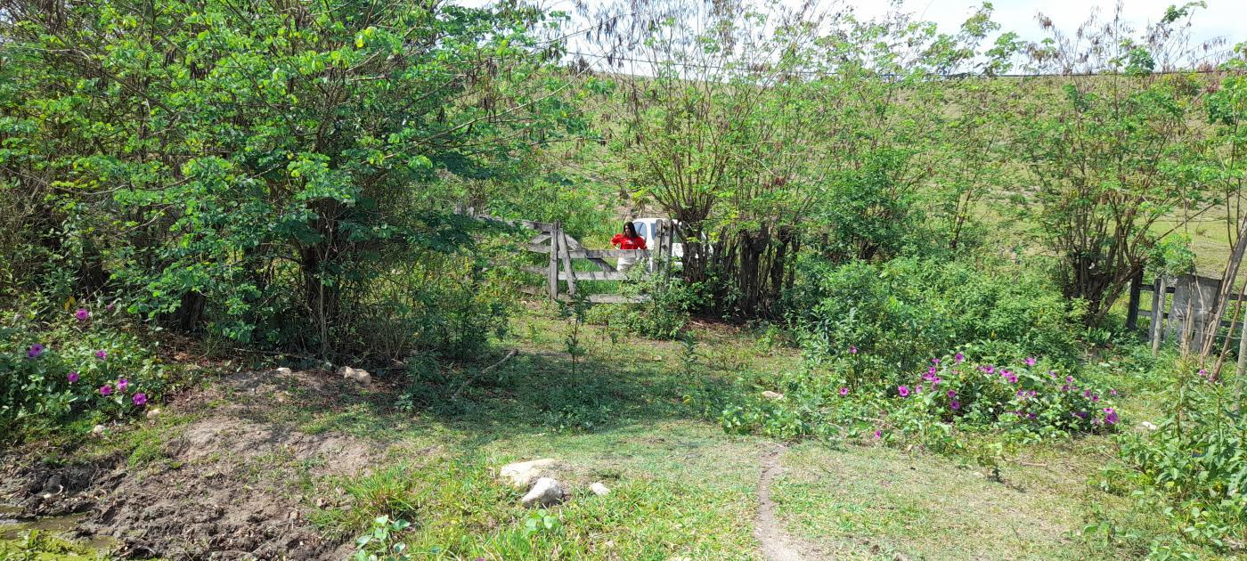 Fazenda à venda com 2 quartos, 20000m² - Foto 3