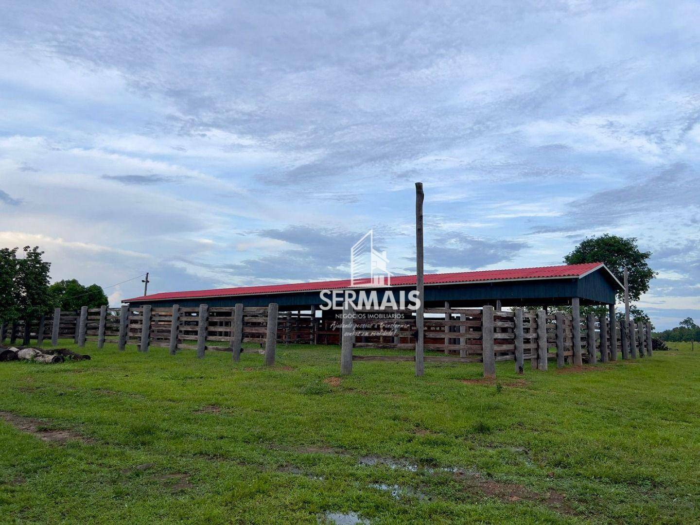 Fazenda-Sítio-Chácara, 772 hectares - Foto 1