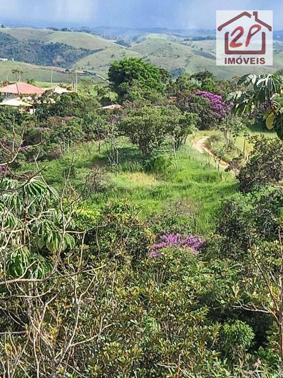 Terreno à venda, 10000M2 - Foto 11