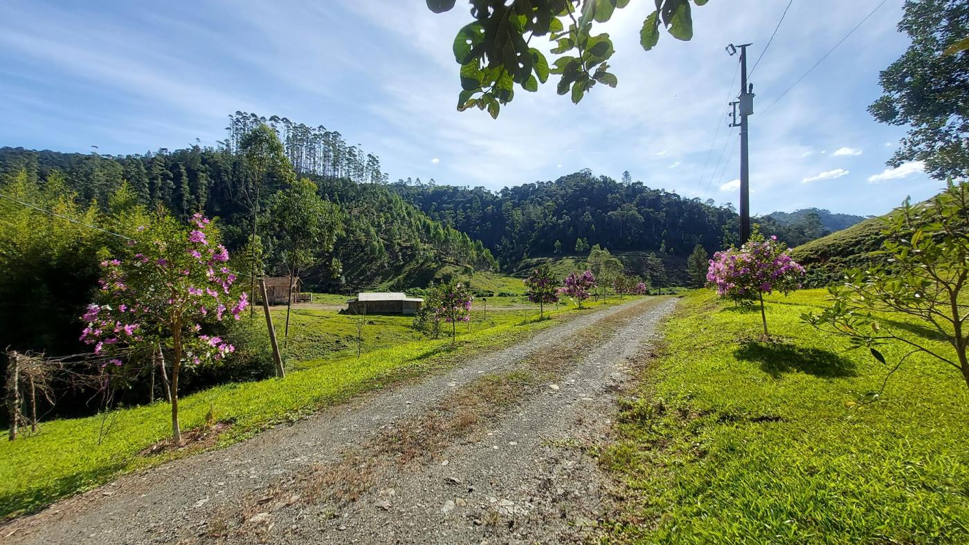 Fazenda à venda com 4 quartos, 4140000m² - Foto 12