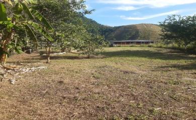 Fazenda à venda com 3 quartos, 3500m² - Foto 15