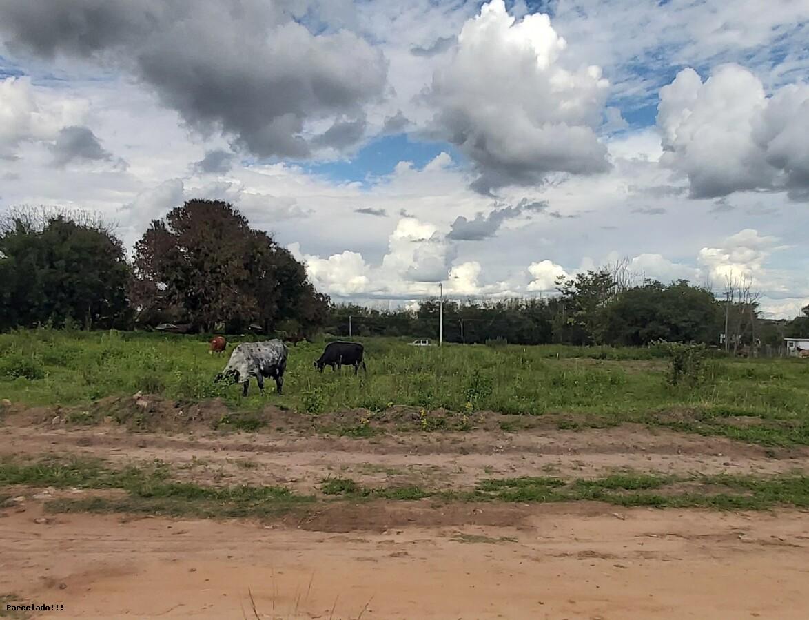 Terreno à venda, 800m² - Foto 1