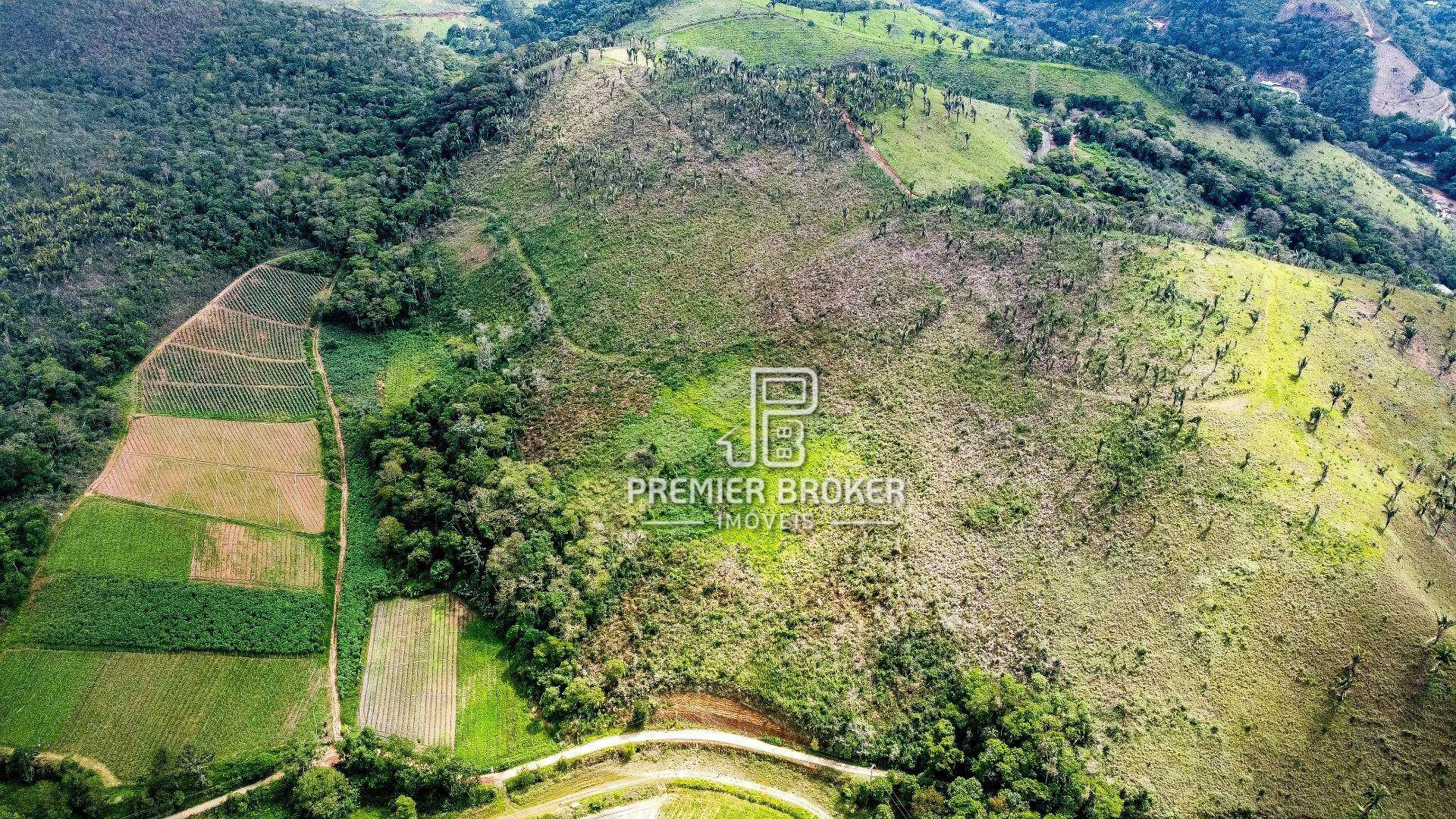 Fazenda à venda com 39 quartos, 1000m² - Foto 7