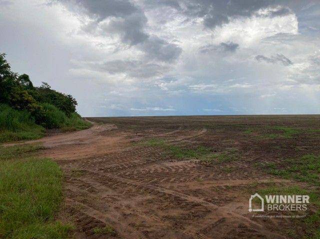 Fazenda-Sítio-Chácara, 563 hectares - Foto 20