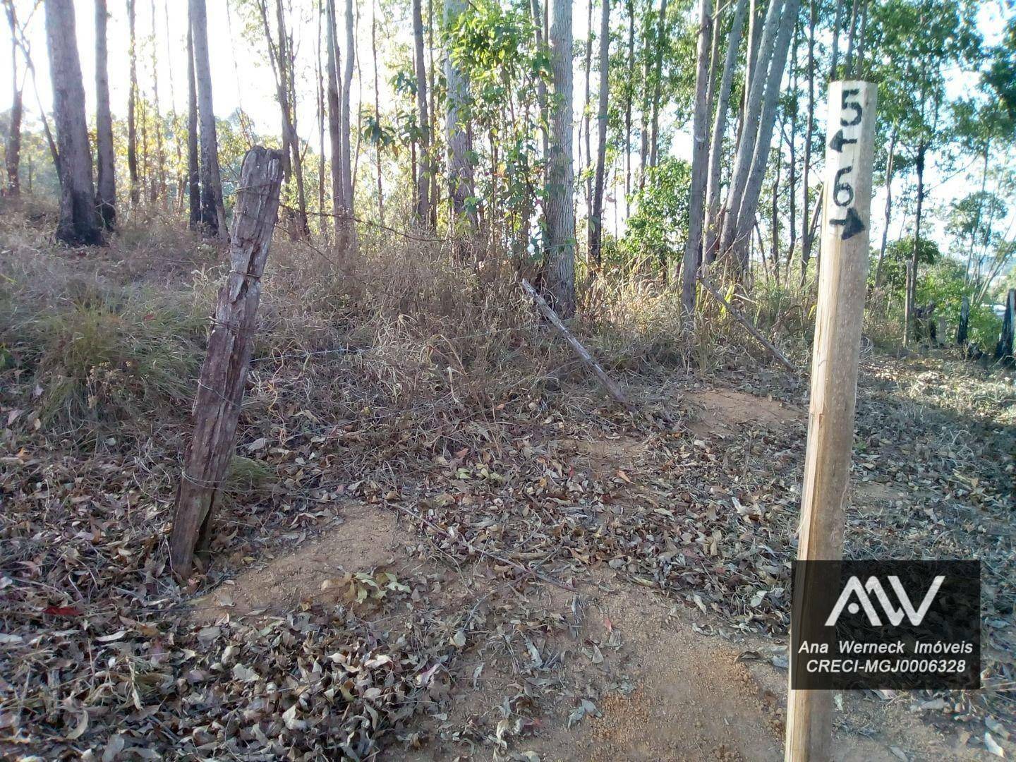 Terreno à venda, 1000M2 - Foto 4