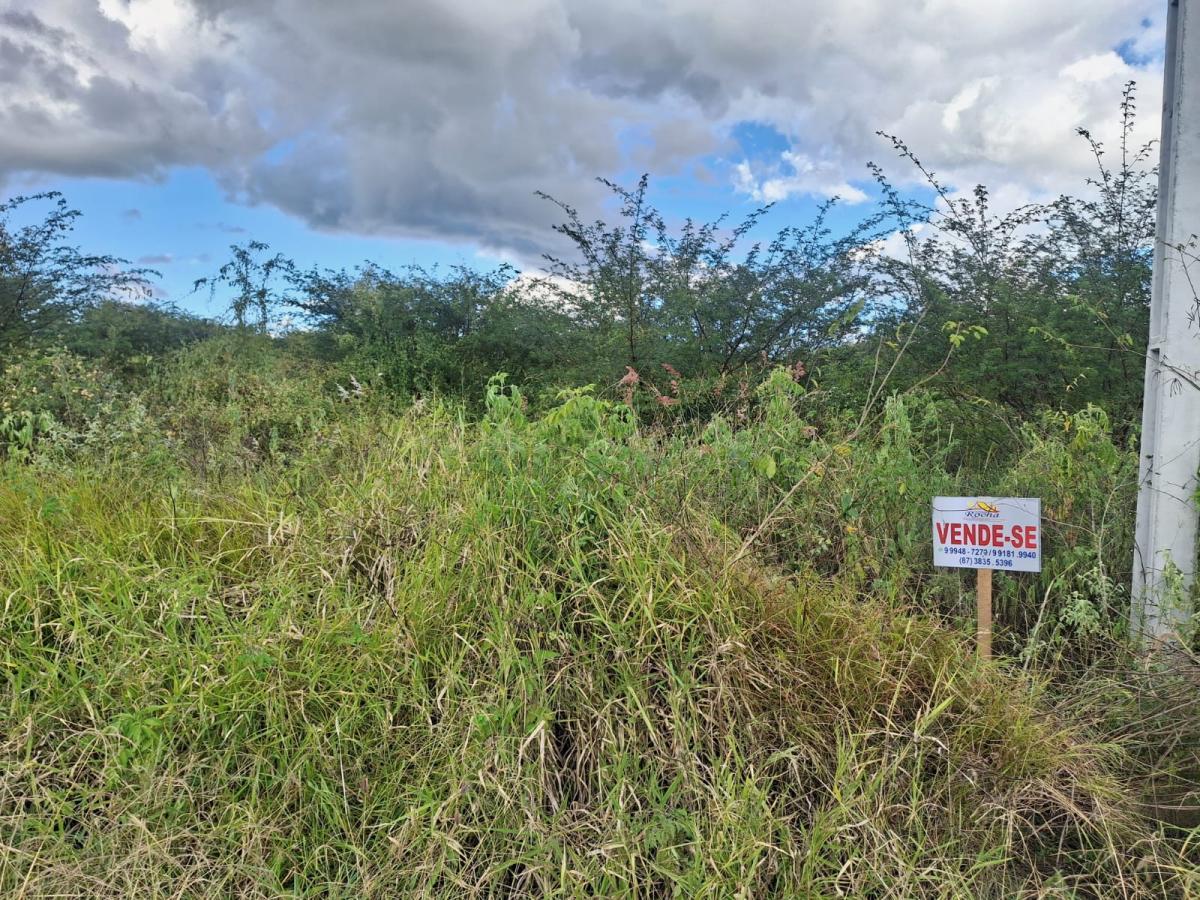 Terreno à venda, 2500m² - Foto 3