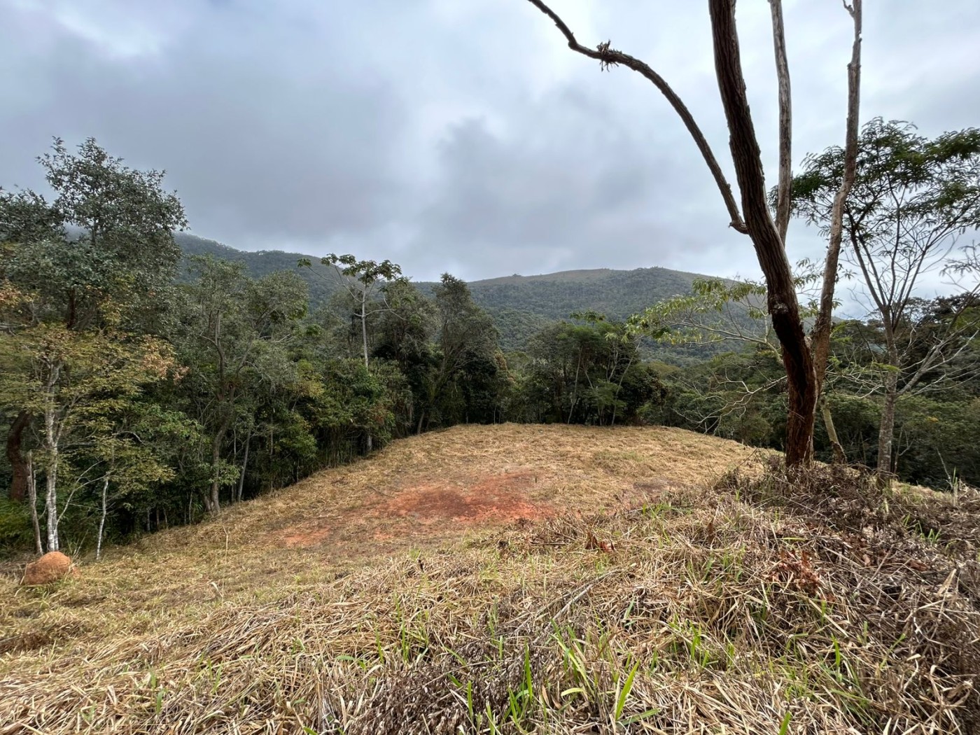 Terreno à venda, 178000m² - Foto 21
