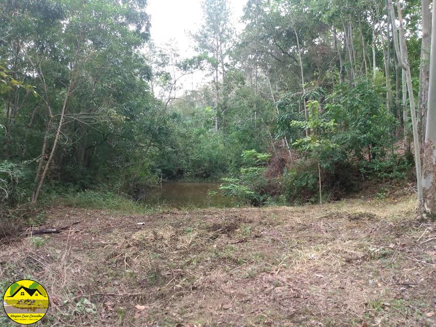 Fazenda à venda com 3 quartos, 30m² - Foto 6