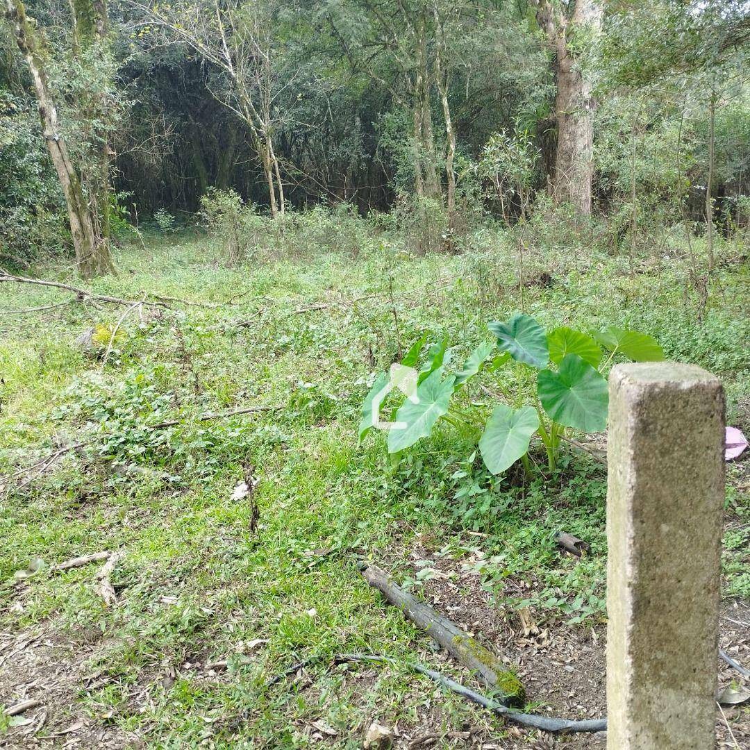 Terreno à venda, 10000M2 - Foto 6