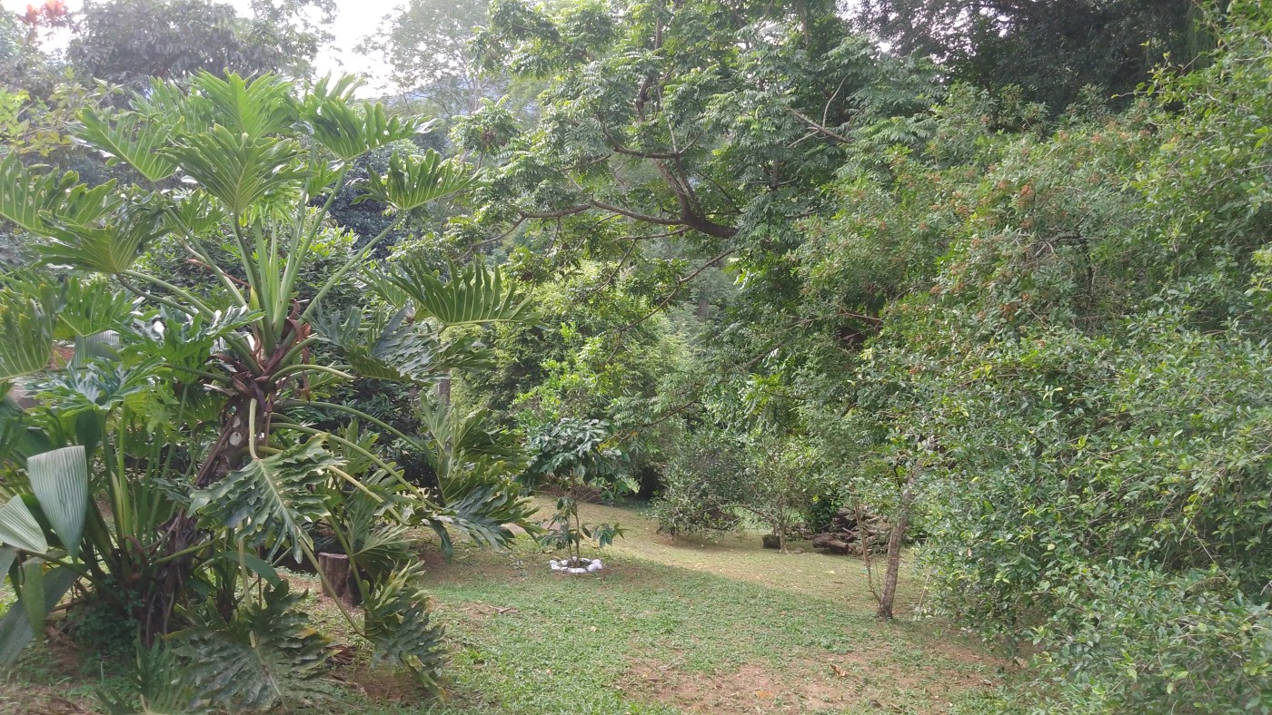 Casa de Condomínio à venda, 3511m² - Foto 27