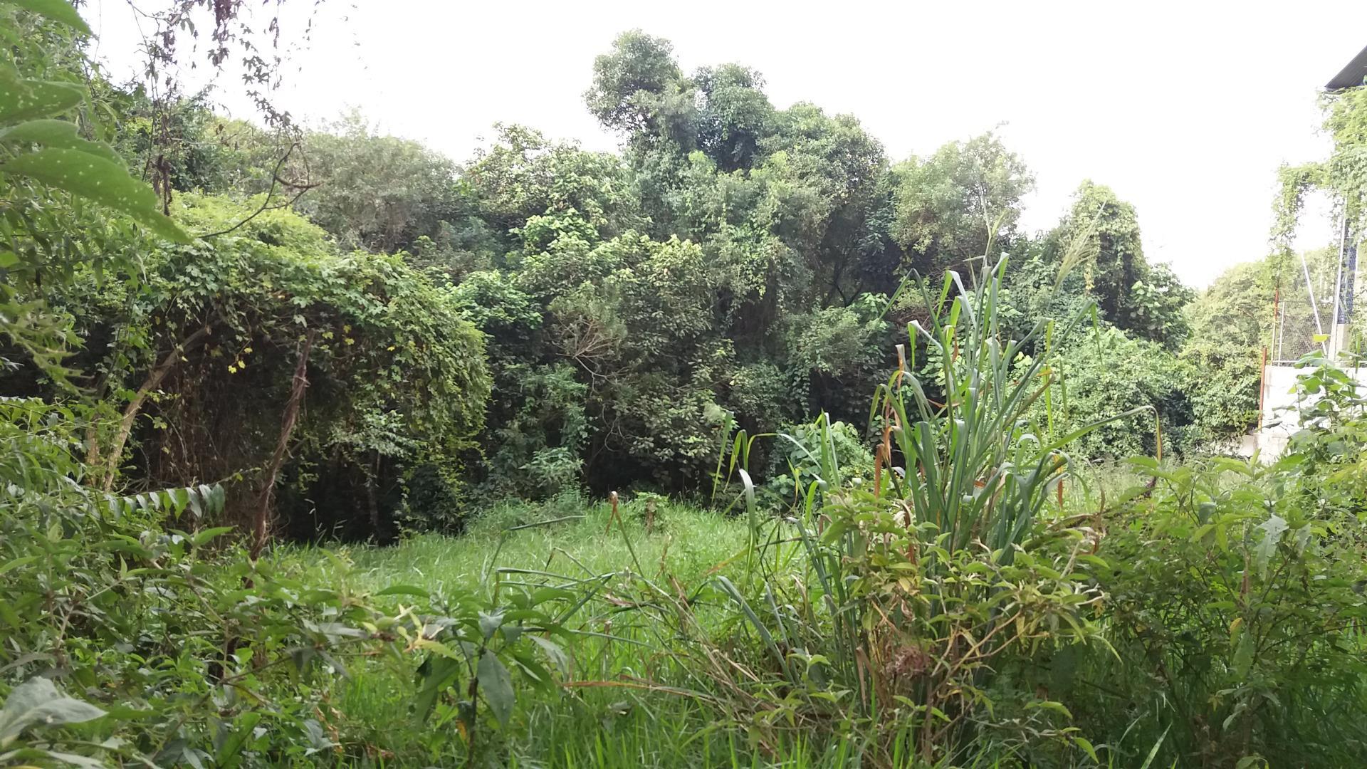 Terreno, 6769 m² - Foto 2