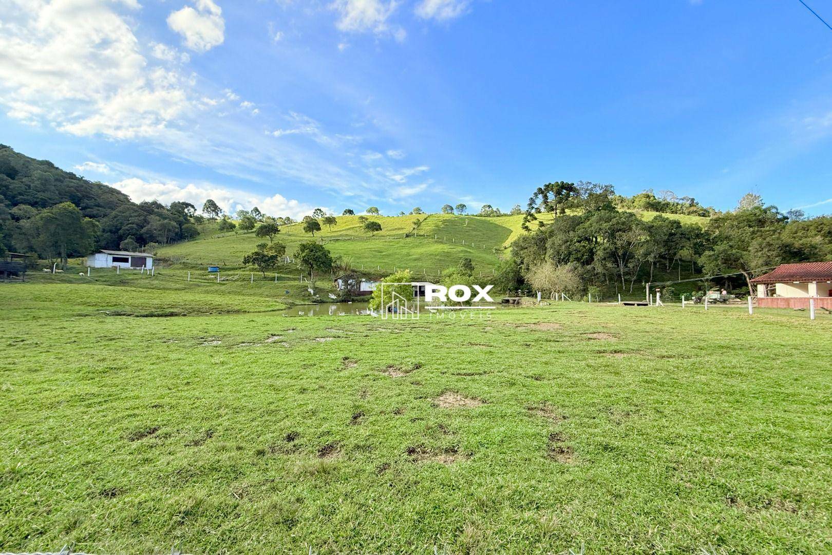 Chácara à venda com 6 quartos, 350m² - Foto 4