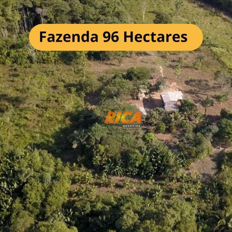 Fazenda-Sítio-Chácara, 96 hectares - Foto 1