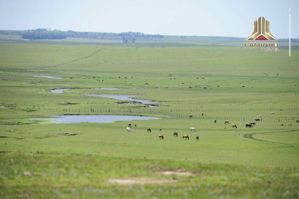 Fazenda à venda com 5 quartos, 33455000M2 - Foto 69