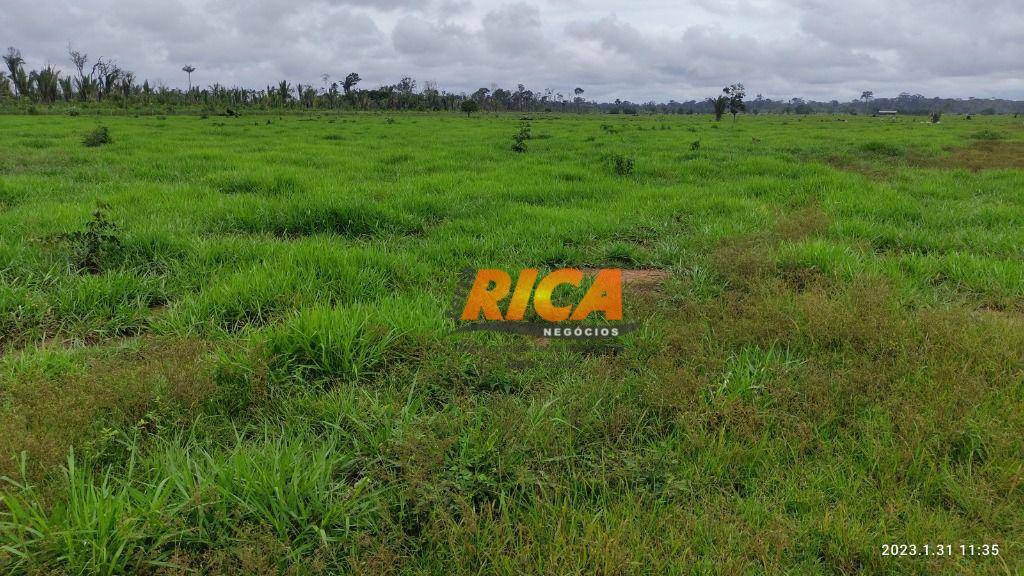 Fazenda à venda com 3 quartos, 5280000M2 - Foto 3