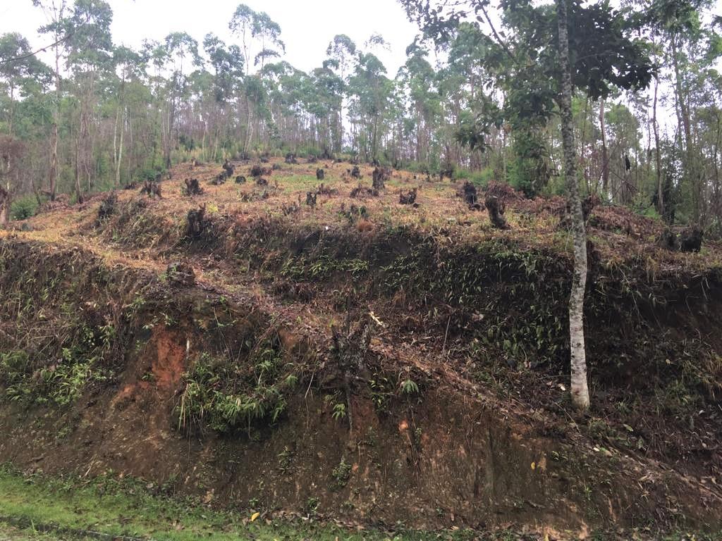 Terreno à venda, 935M2 - Foto 3