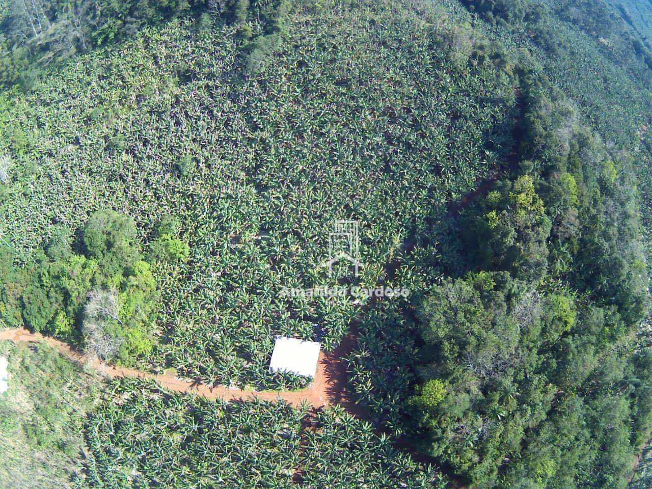 Terreno, 13 hectares - Foto 6