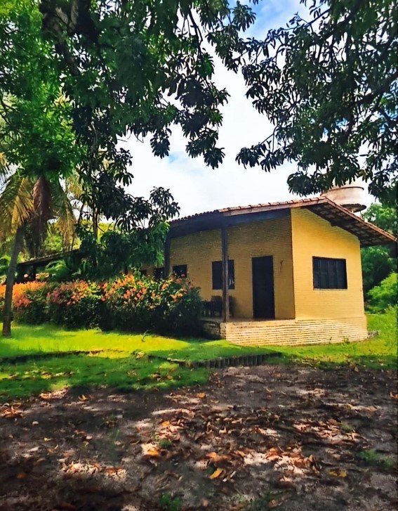 Fazenda à venda com 3 quartos, 46m² - Foto 2