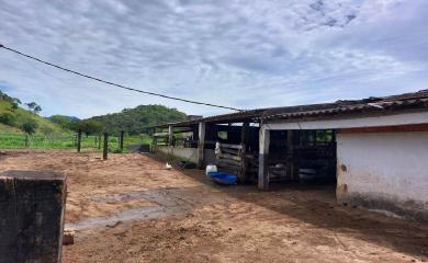 Fazenda à venda com 3 quartos, 17000m² - Foto 9