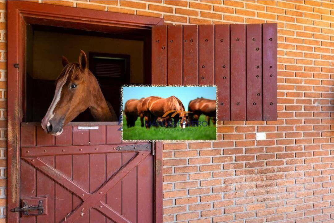 Haras e Área Rural Padrão à venda, 1517340M2 - Foto 7