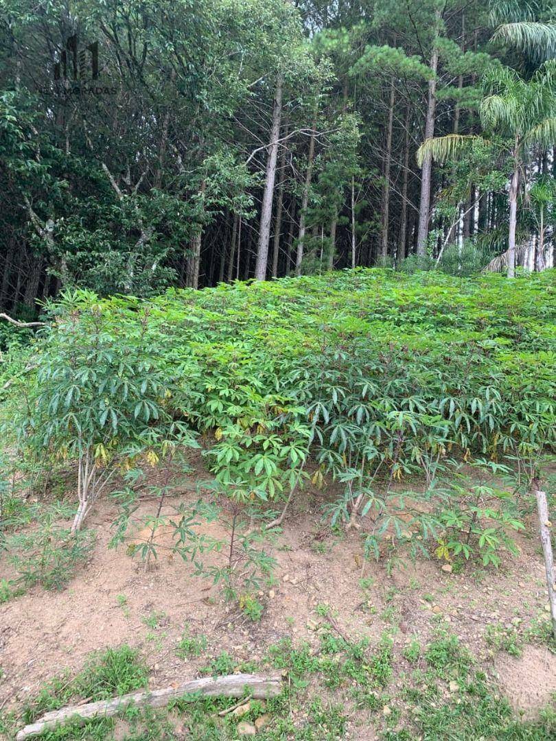 Chácara à venda com 2 quartos, 90m² - Foto 5