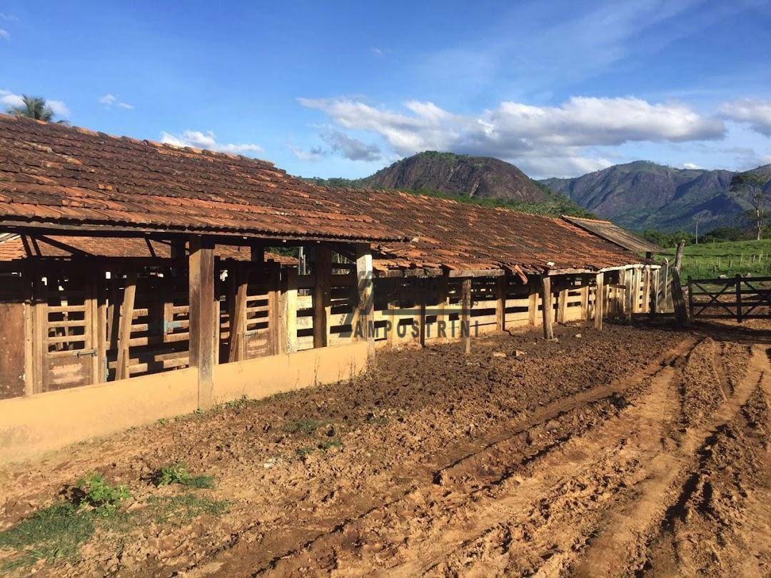 Fazenda à venda, 5469200M2 - Foto 70