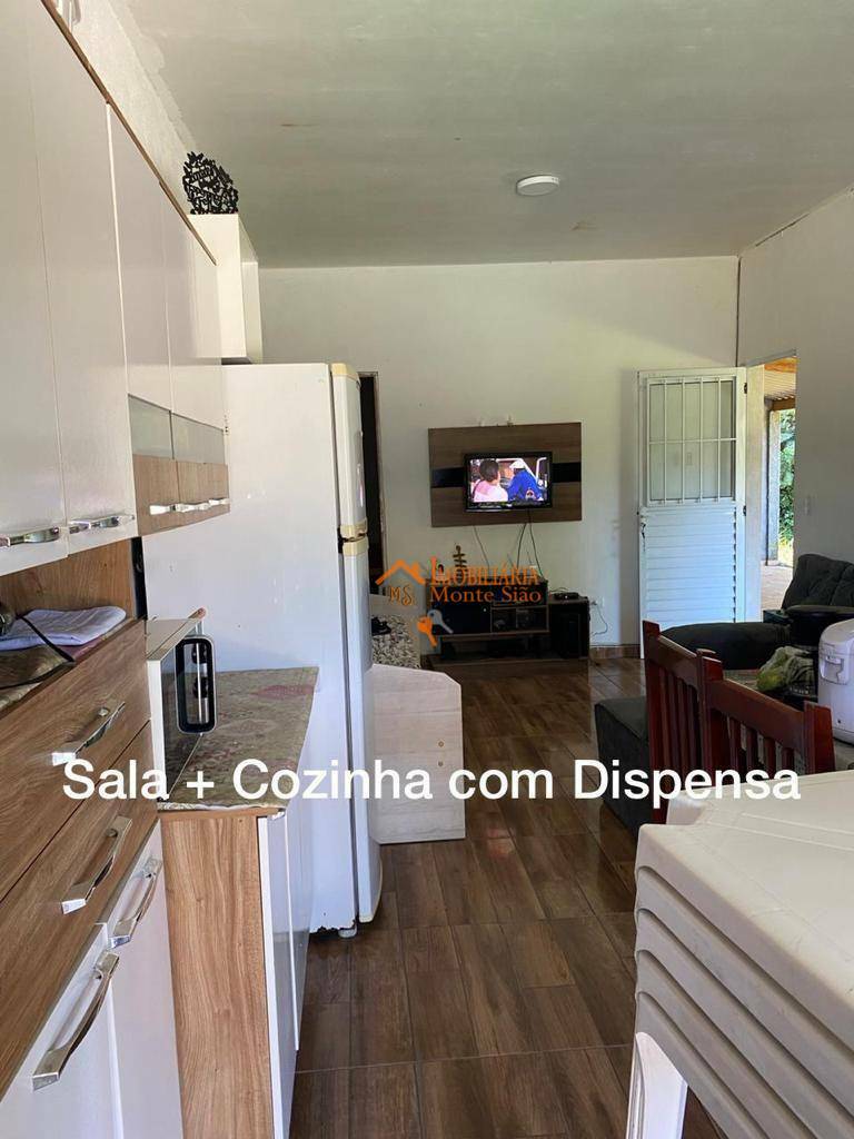 Sítio à venda com 3 quartos, 1000M2 - Foto 34