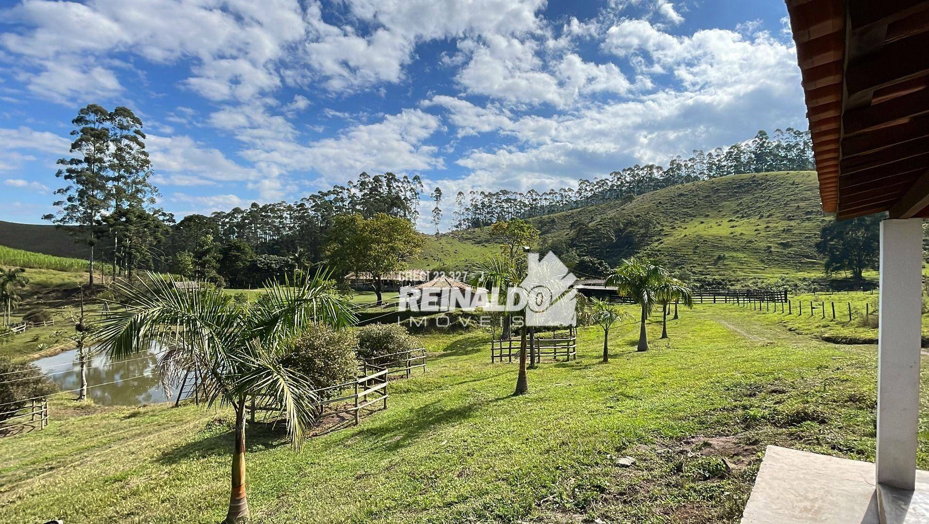 Fazenda à venda com 8 quartos, 900m² - Foto 102