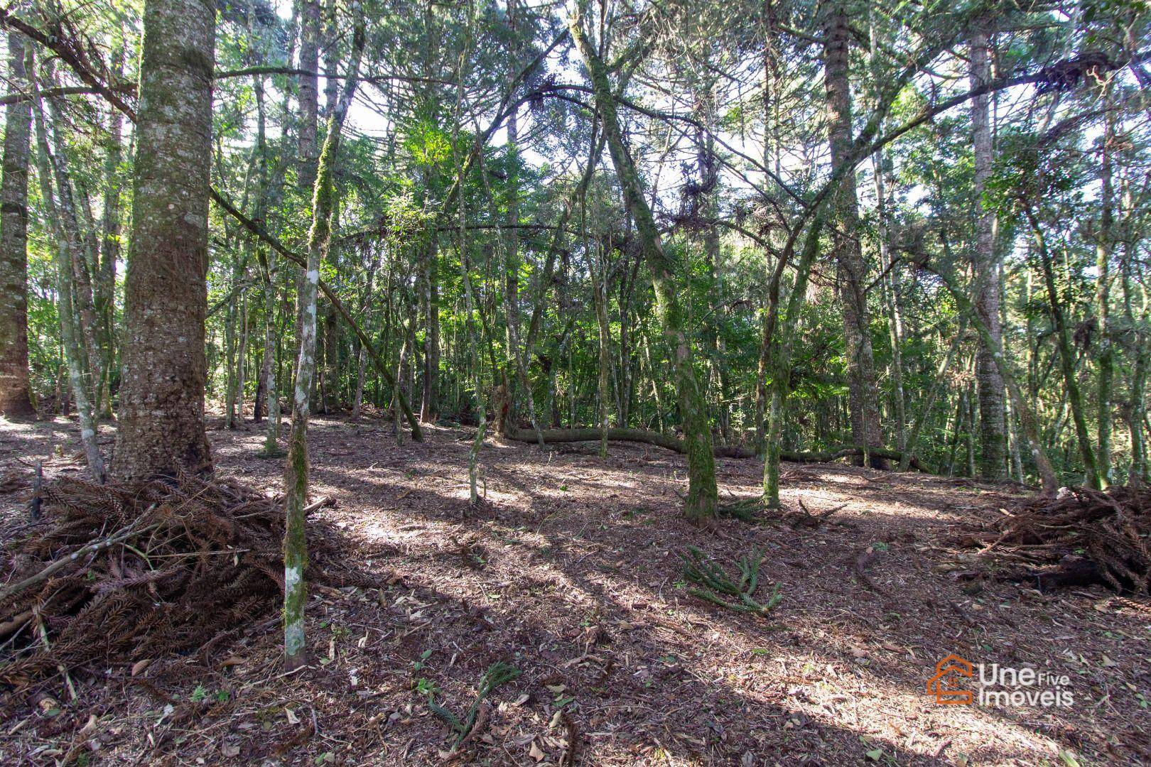 Terreno, 3799 m² - Foto 16