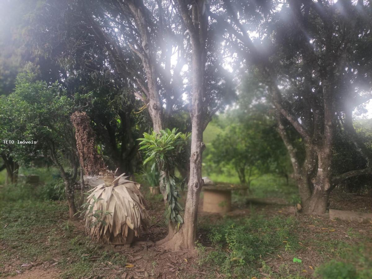 Fazenda à venda com 2 quartos, 3000m² - Foto 8