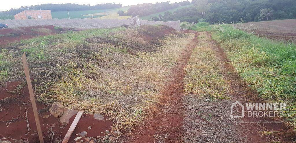 Terreno à venda, 700M2 - Foto 3