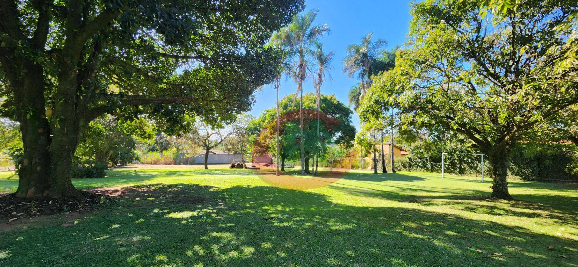 Chácara, 2 quartos, 5560 m² - Foto 4