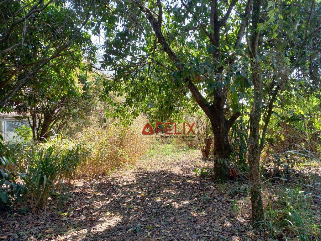 Terreno à venda, 6000M2 - Foto 6