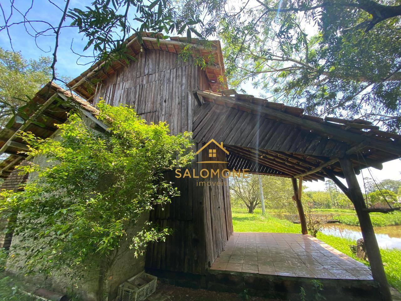 Sítio, 1 quarto, 4040 m² - Foto 3