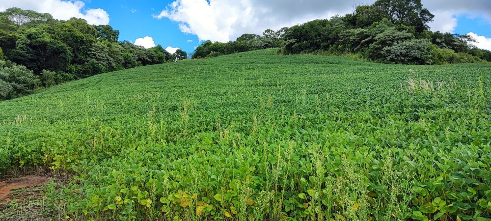 Fazenda à venda, 52m² - Foto 7