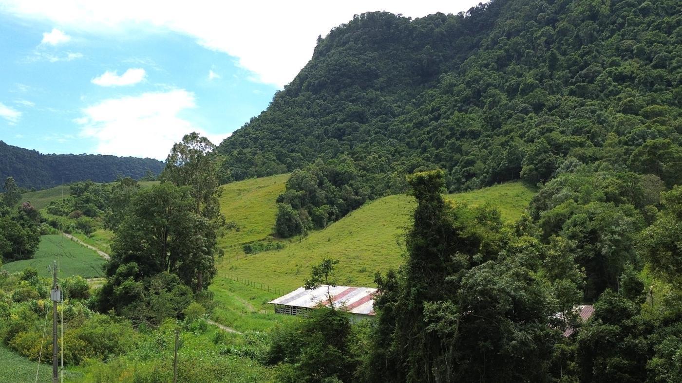 Fazenda à venda com 5 quartos, 450000m² - Foto 27