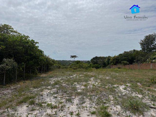 Terreno, 2500 m² - Foto 4