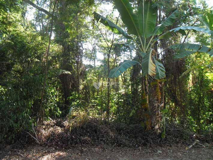 Loteamento e Condomínio à venda, 548M2 - Foto 4