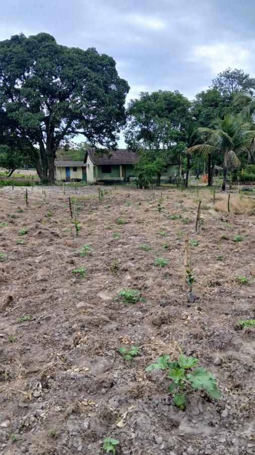 Fazenda à venda com 2 quartos, 31000m² - Foto 7