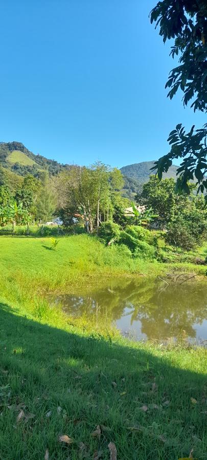 Fazenda à venda com 2 quartos, 18000m² - Foto 9