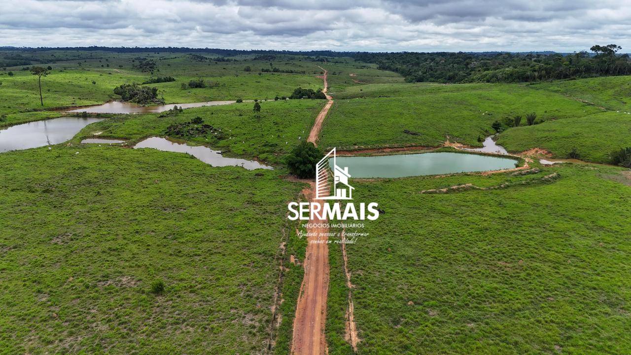 Fazenda, 2300 hectares - Foto 3