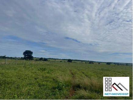 Fazenda à venda com 3 quartos, 220m² - Foto 9