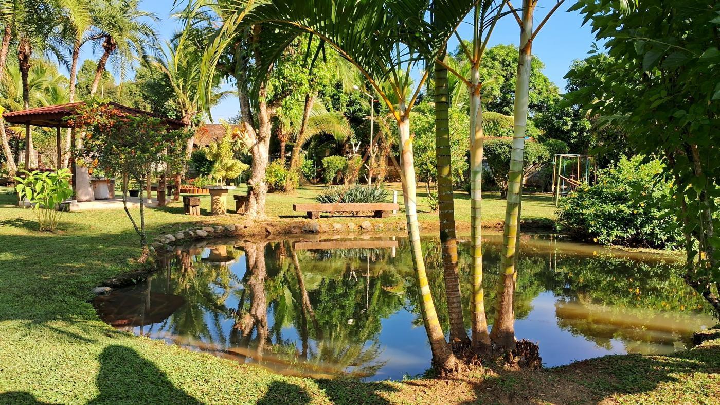 Fazenda à venda com 3 quartos, 4300m² - Foto 7