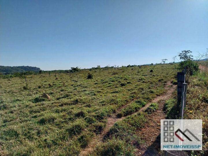 Fazenda à venda com 5 quartos, 500m² - Foto 2