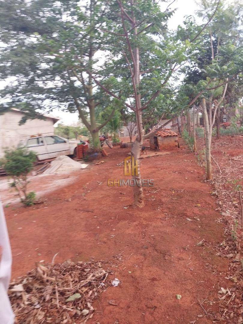 Chácara à venda com 3 quartos, 4000M2 - Foto 11